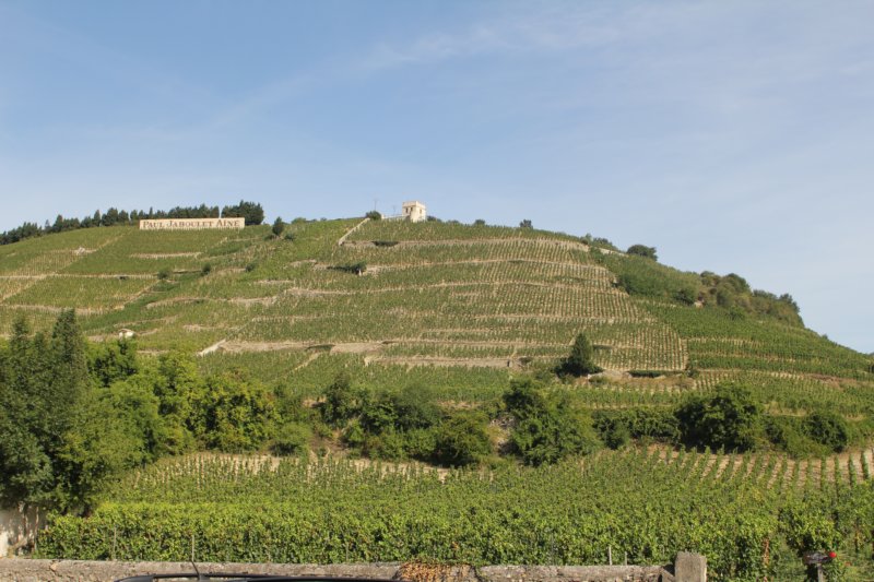 Lördag 14
