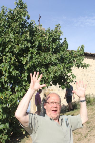 Söndag 21