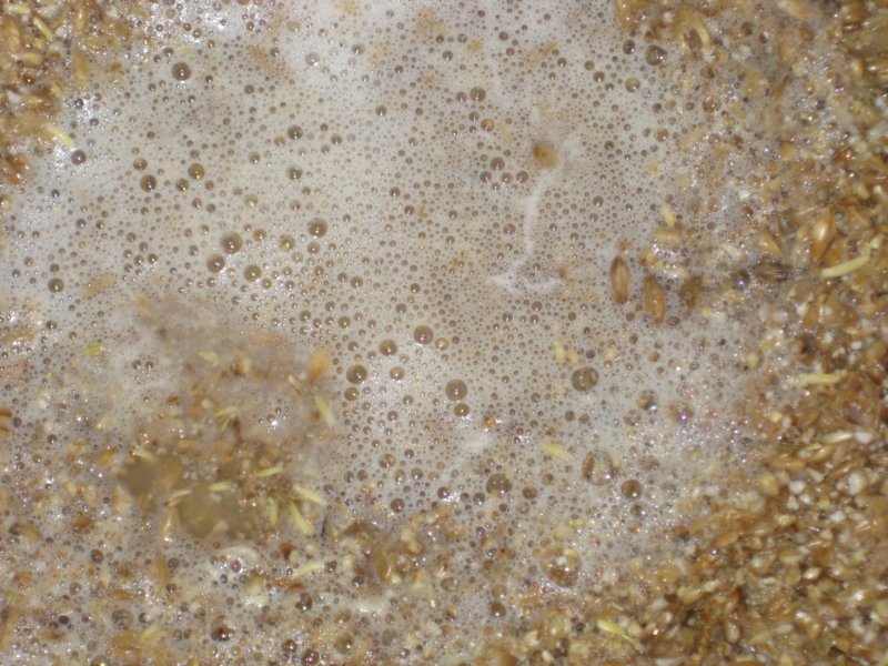 Tyresö Brewery 59