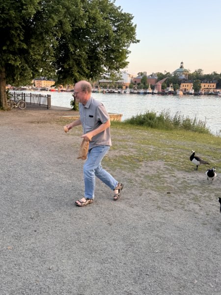 Sommaröl 23