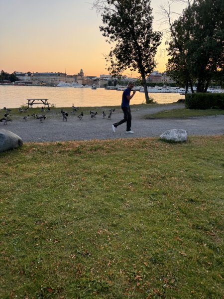 Sommaröl 29