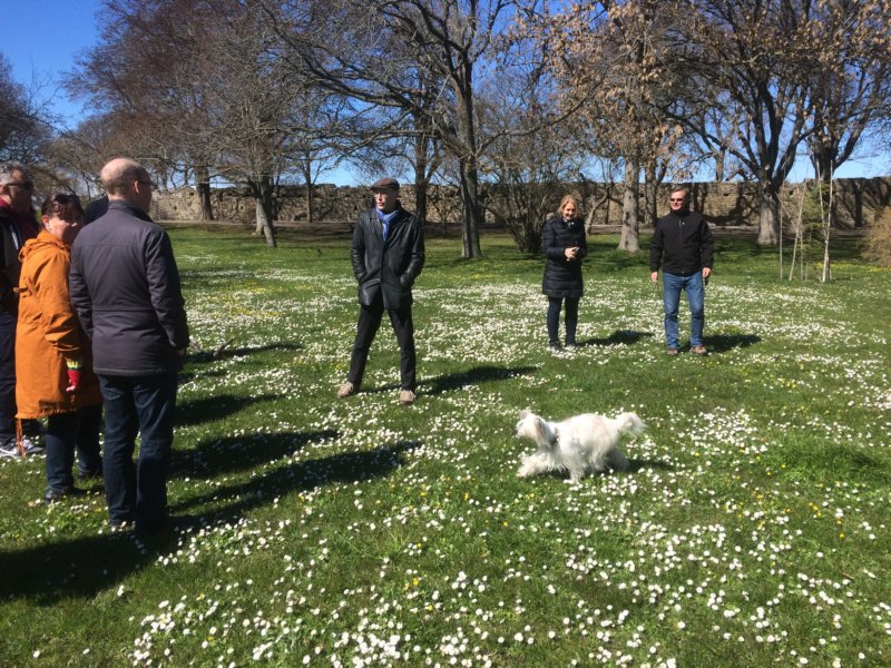 Visby 16