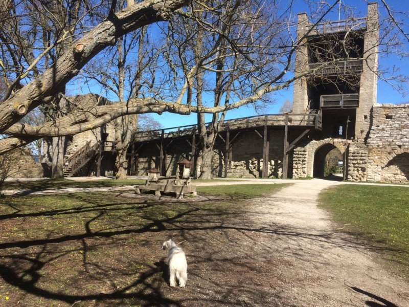 Visby 17