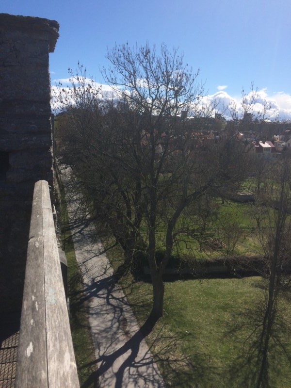 Visby 23
