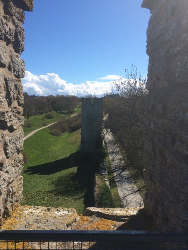 Visby 24