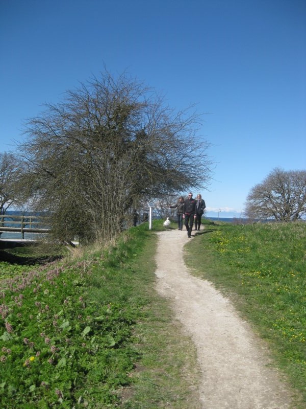Visby 29