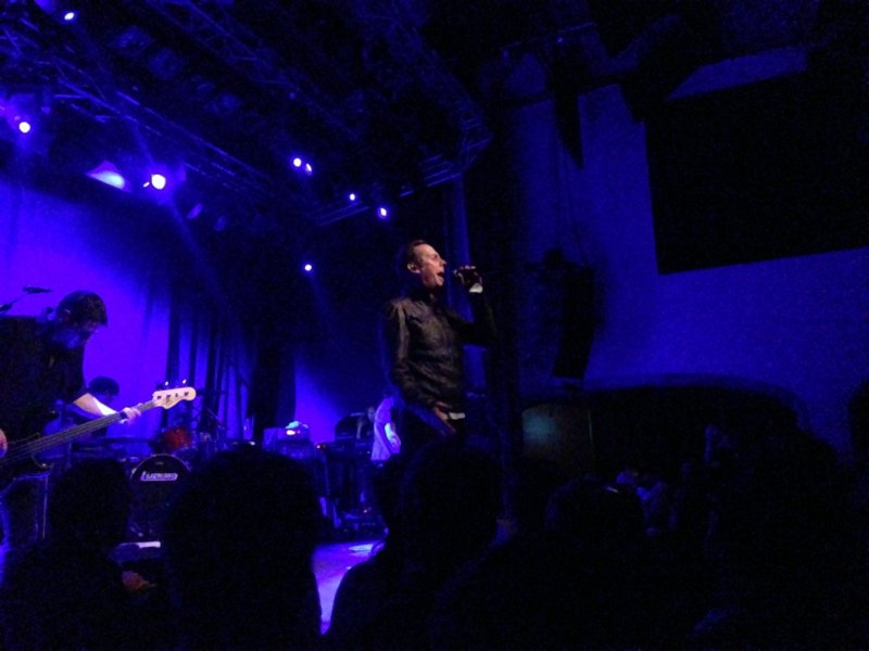 Peter Murphy 5