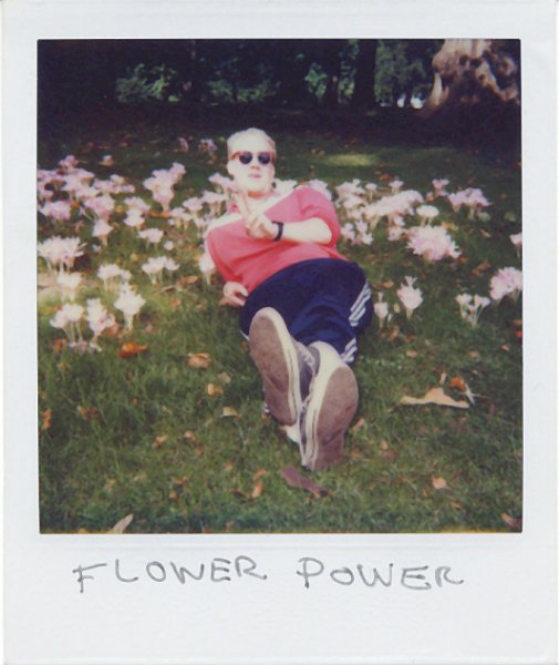 The Polaroid Trip 5