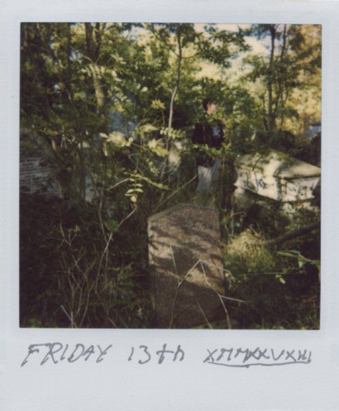 The Polaroid Trip 22