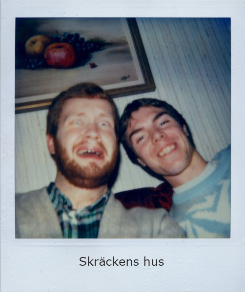 Polaroids 5